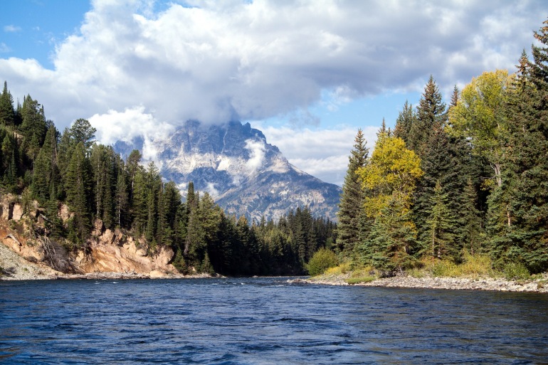 Nature view Grand Teton, USA