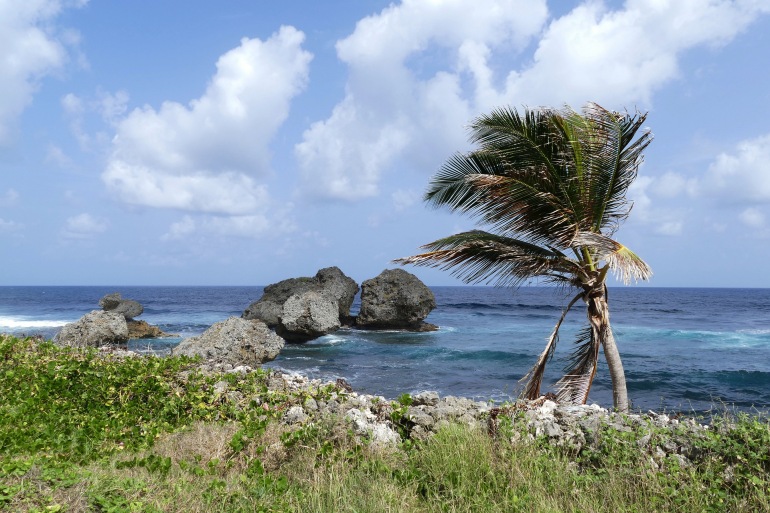 Wonderful scenery natural view sea ocean Grenada-Caribbean-4898267_1920_processed