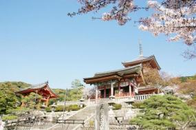 17 Day China with 4 Day Yangtze River Cruise & Tokyo 2020 Itinerary