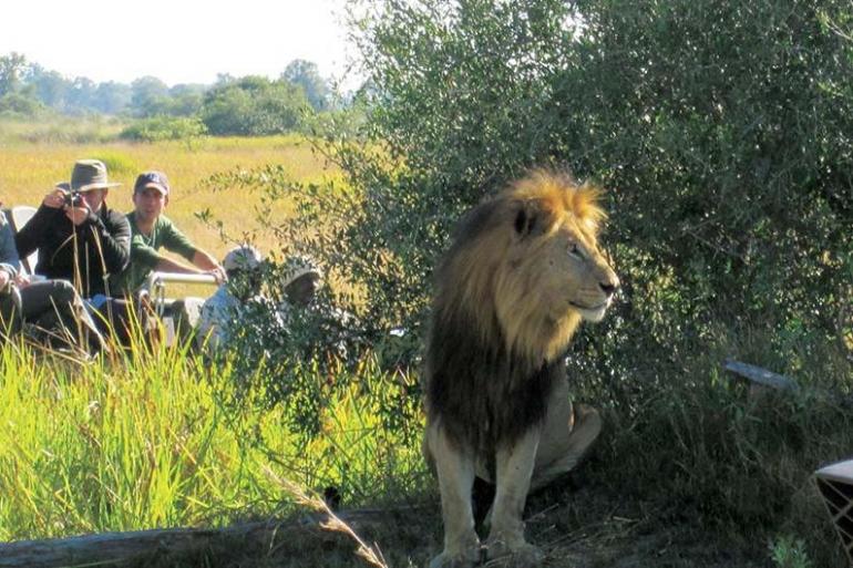 12 Day Classic South Africa tour