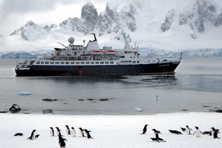 Antarctic Express: Cruise South, Fly North tour