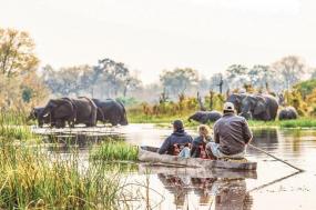 Southern Africa Safari 2023-24