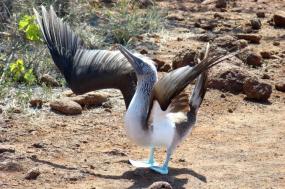 Epic Galápagos Photography Expedition