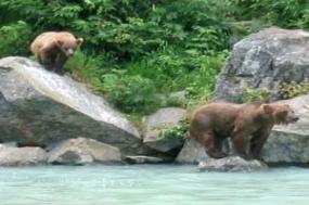 Grand Alaskan Adventure