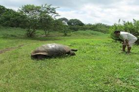 Cruising the Galápagos on board the La Pinta with Peru, Ecuador's Amazon & Nazca Lines