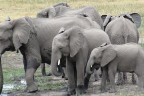 Simply South Africa (luxury Class)