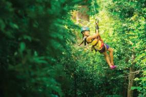 Costa Rica: Jungles & Rainforests 2022