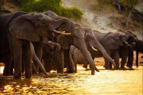 Zanzibar to Cape Town
