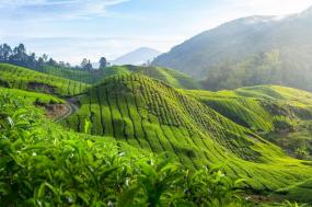 Highlights of Singapore and Malaysia Beach Stay