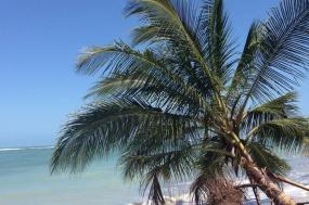 Costa Rica - Pura Vida, Family & Multi-generational