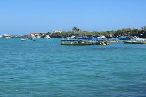 Cruising the Galápagos on board the La Pinta with Peru, Ecuador's Amazon & Lake Titicaca