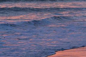 Costa Rica: Raft, Surf & Kayak
