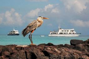 The Galápagos Islands & Ecuador