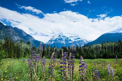 Panoramic Canadian Rockies Summer Verandah Silverleaf tour
