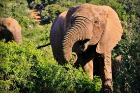 Highlights of South Africa