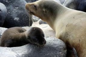 Galápagos Photo Expedition