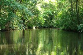 Costa Rica Adventure