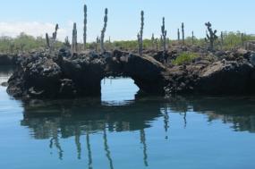 Galápagos Family Odyssey
