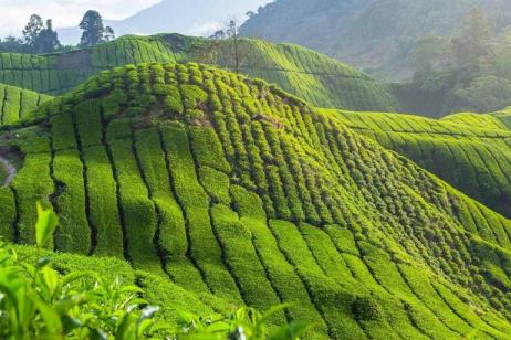 Colonial Singapore and Malaysia with Beach Stay