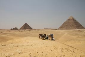 Pathways of the Pharaohs