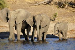 Rivers & Rails of Africa