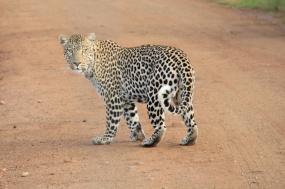 Tanzania Adventure