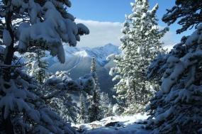 National Parks: Canadian Rockies, Glacier & Yellowstone