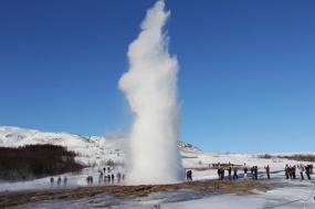 Untamed Iceland