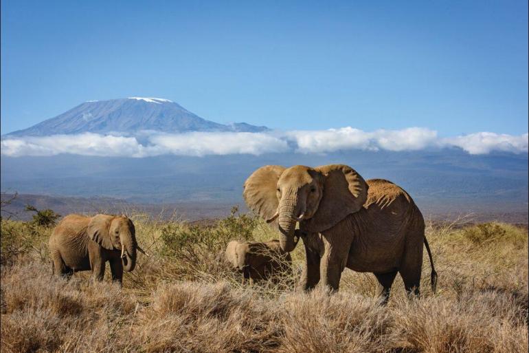 Safari Land expedition Kilimanjaro & Serengeti Adventure package