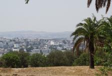 8 days from Tunis to Tunis tour