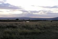 Splendors of South Africa & Victoria Falls tour