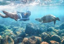 Ecuador and Galapagos Island Hopper Quito Quito tour