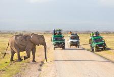 Okavango Experience tour