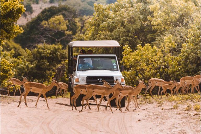 Chobe National Park Hwange National Park Explore Southern Africa Trip