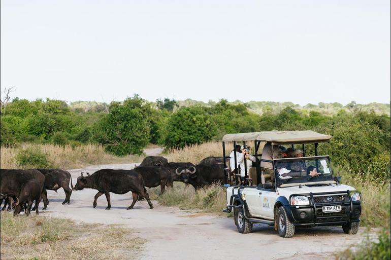National Parks Wildlife viewing Explore Southern Africa package