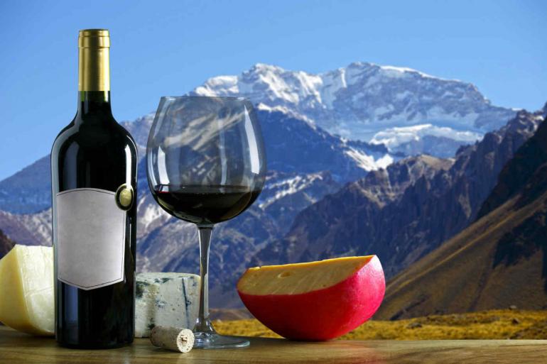 Chile & Argentina Wine Experience tour