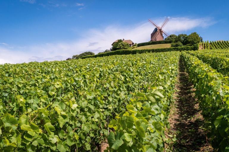 Cycling the Vineyards of Champagne tour