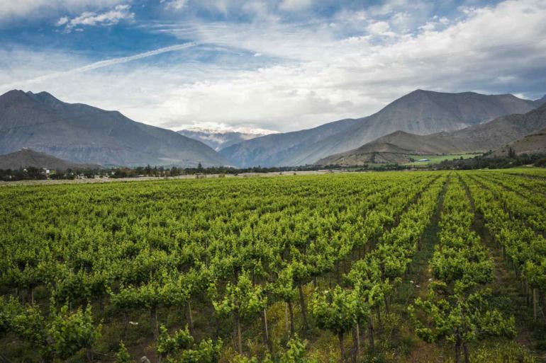 Andes Mountains Buenos Aires Chile & Argentina Wine Experience Trip