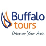 Buffalo Tours
