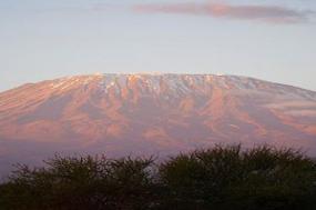Kenya Private Safari with Nairobi & Amboseli National Park Area