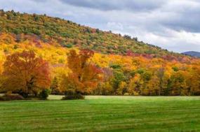 Escape to the Berkshires