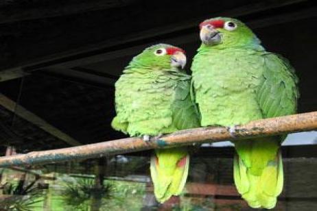 Cruising the Galápagos on board the Santa Cruz II with Ecuador's Amazon