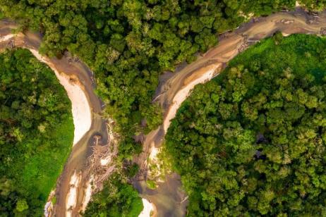 Ecuador: Amazon Jungle Experience – Independent