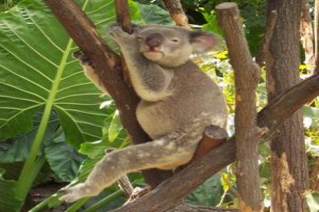 Best of Australia & New Zealand with Fiji
