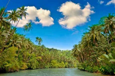 Rio de Janeiro, Iguassu Falls & Amazon River Cruise