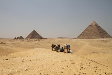 Pathways of the Pharaohs