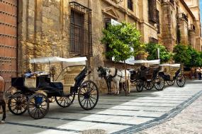 Premium Spain & Morocco
