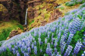 All Around Iceland