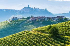Best of culinary Italy & France