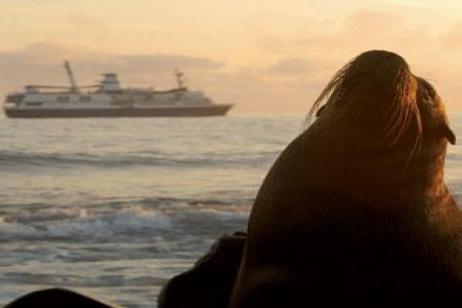 Discover the Galápagos & Peru with the Amazon
